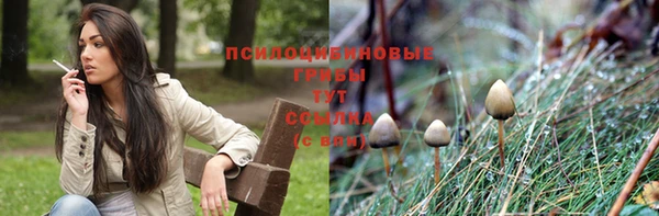 MDMA Краснослободск