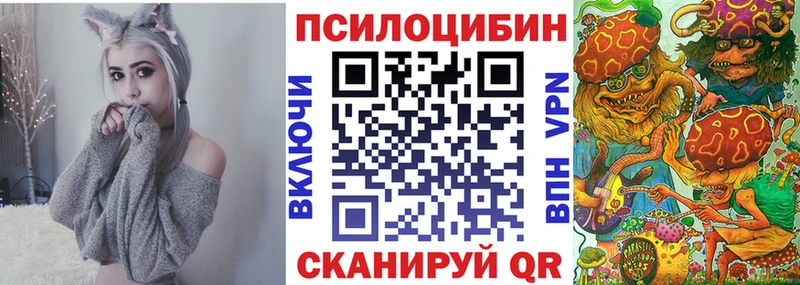 Купить где  Купино  Псилоцибиновые грибы MAGIC MUSHROOMS 